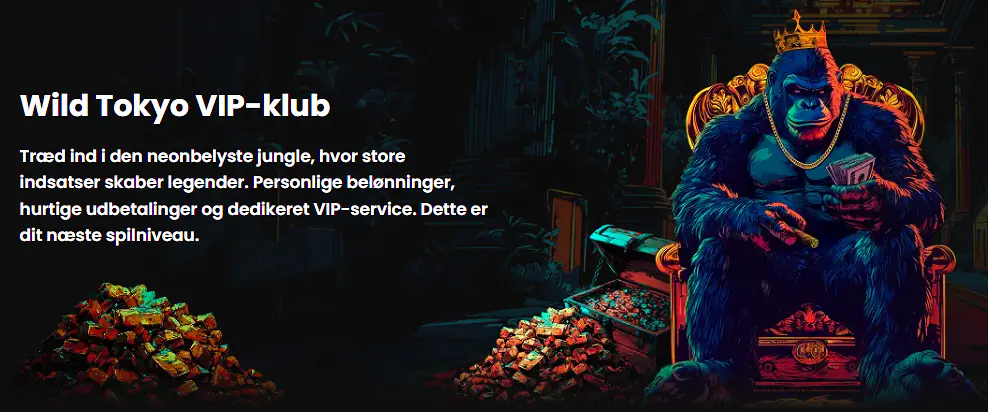 VIP-klubbens niveauer og fordele